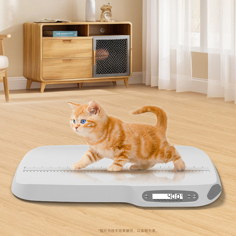 Pet weighing
