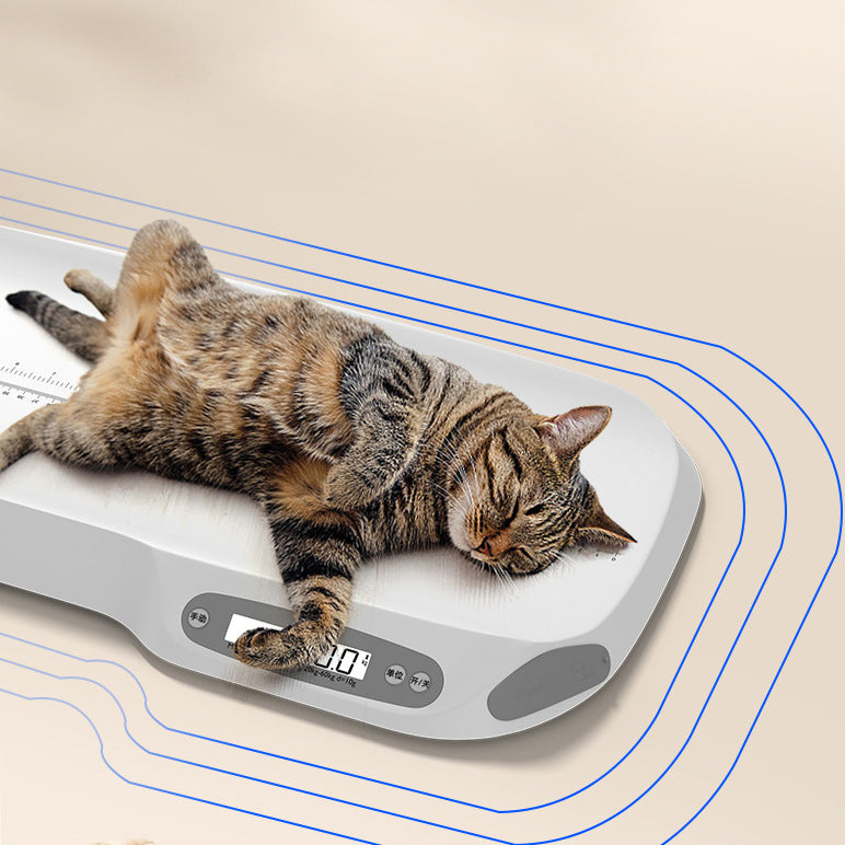 Pet weighing