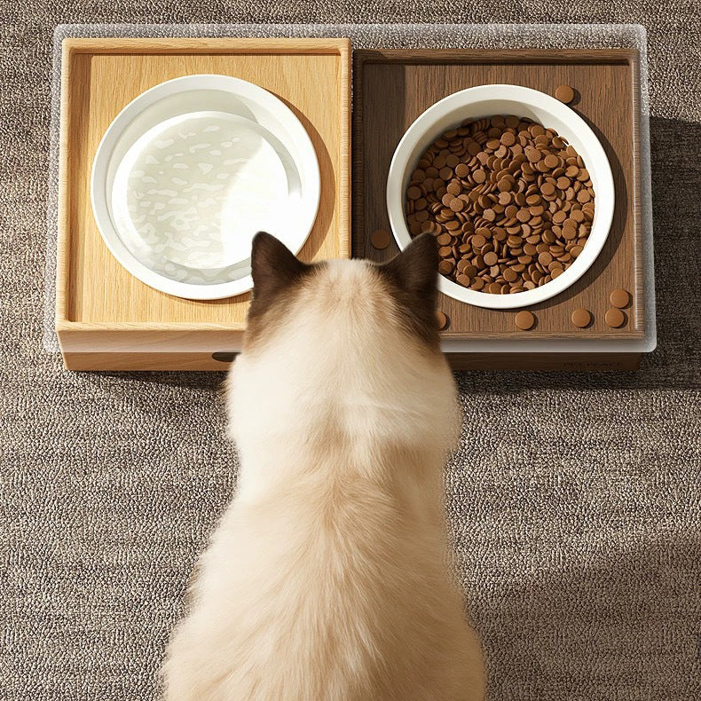 New Cat Bowl