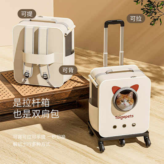 Cat bag portable cat pet travel bag