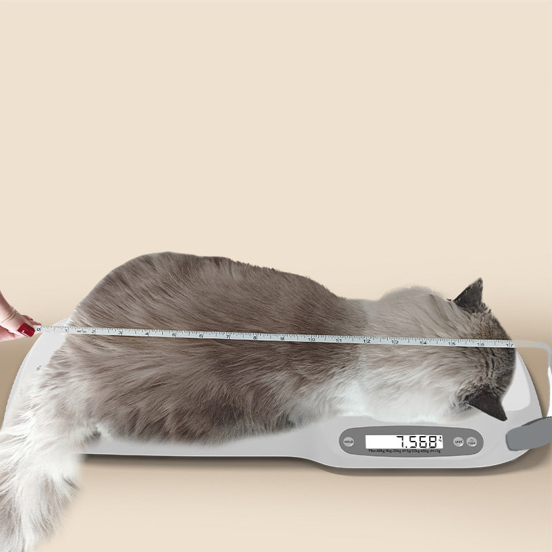 Pet weighing