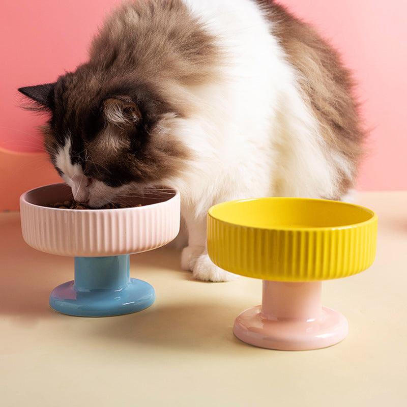 Ceramic pet bowl