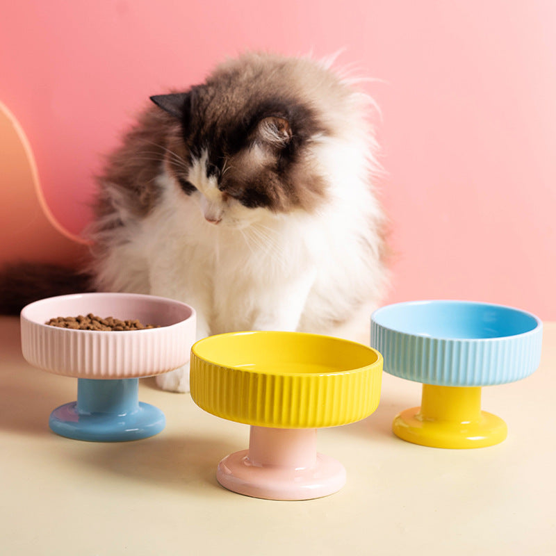 Ceramic pet bowl