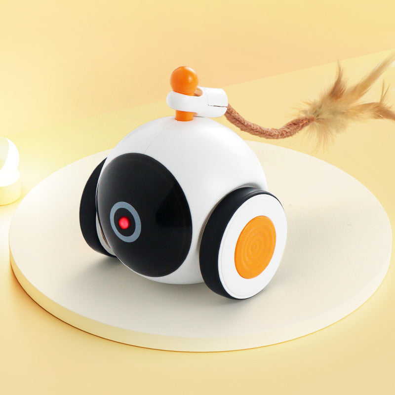 Cat Toy