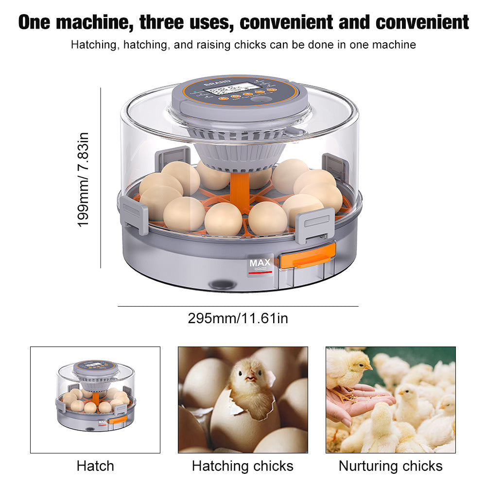 small household eggincubator