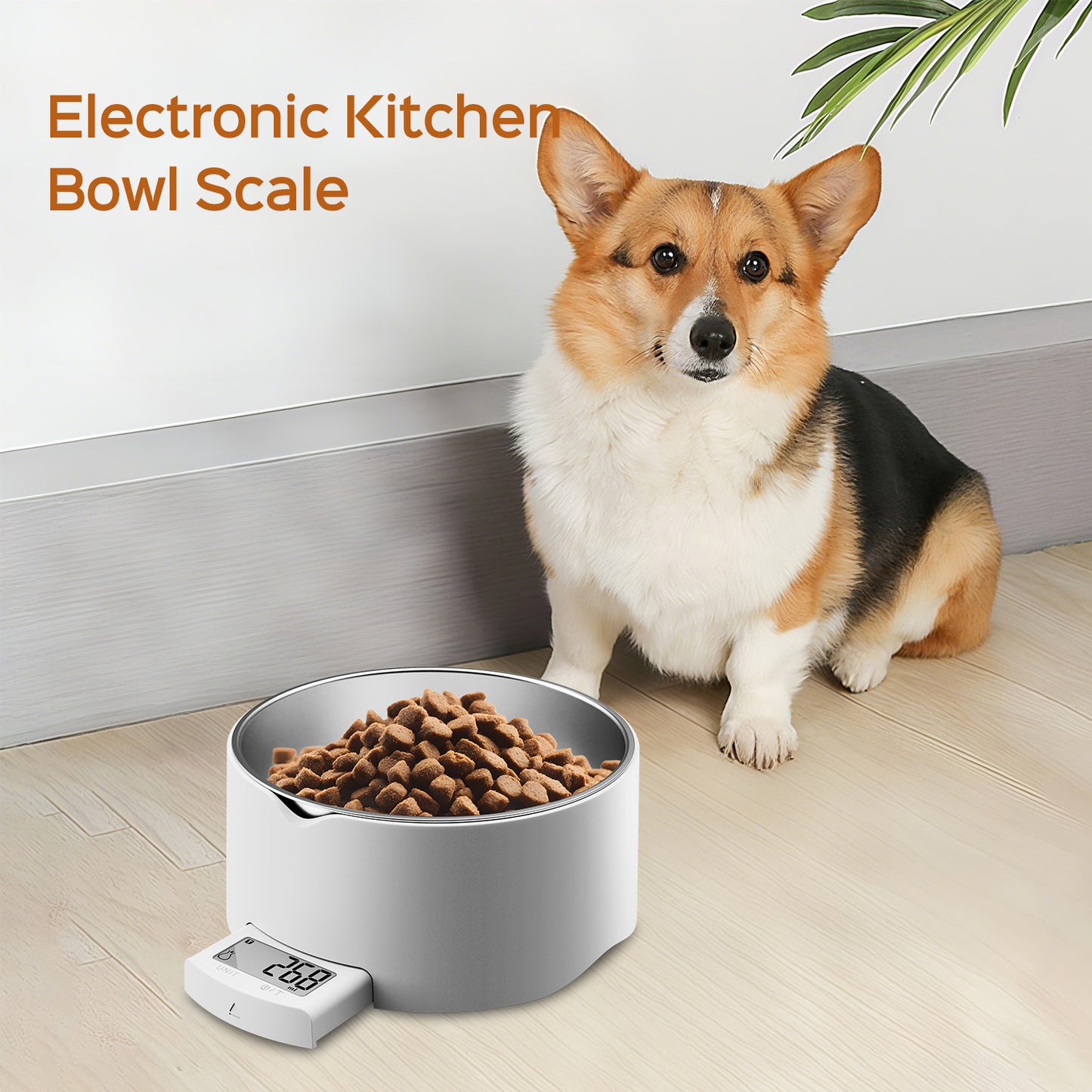 Small Scale Cat Bowl