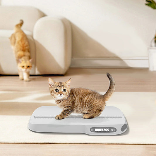 Pet weighing
