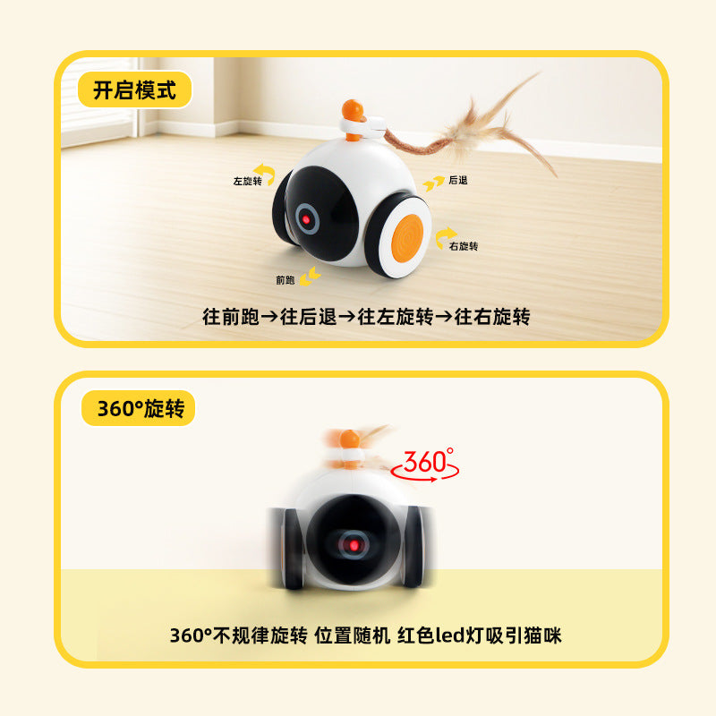 Cat Toy