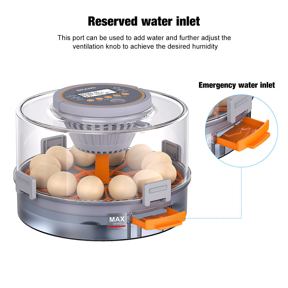 small household eggincubator