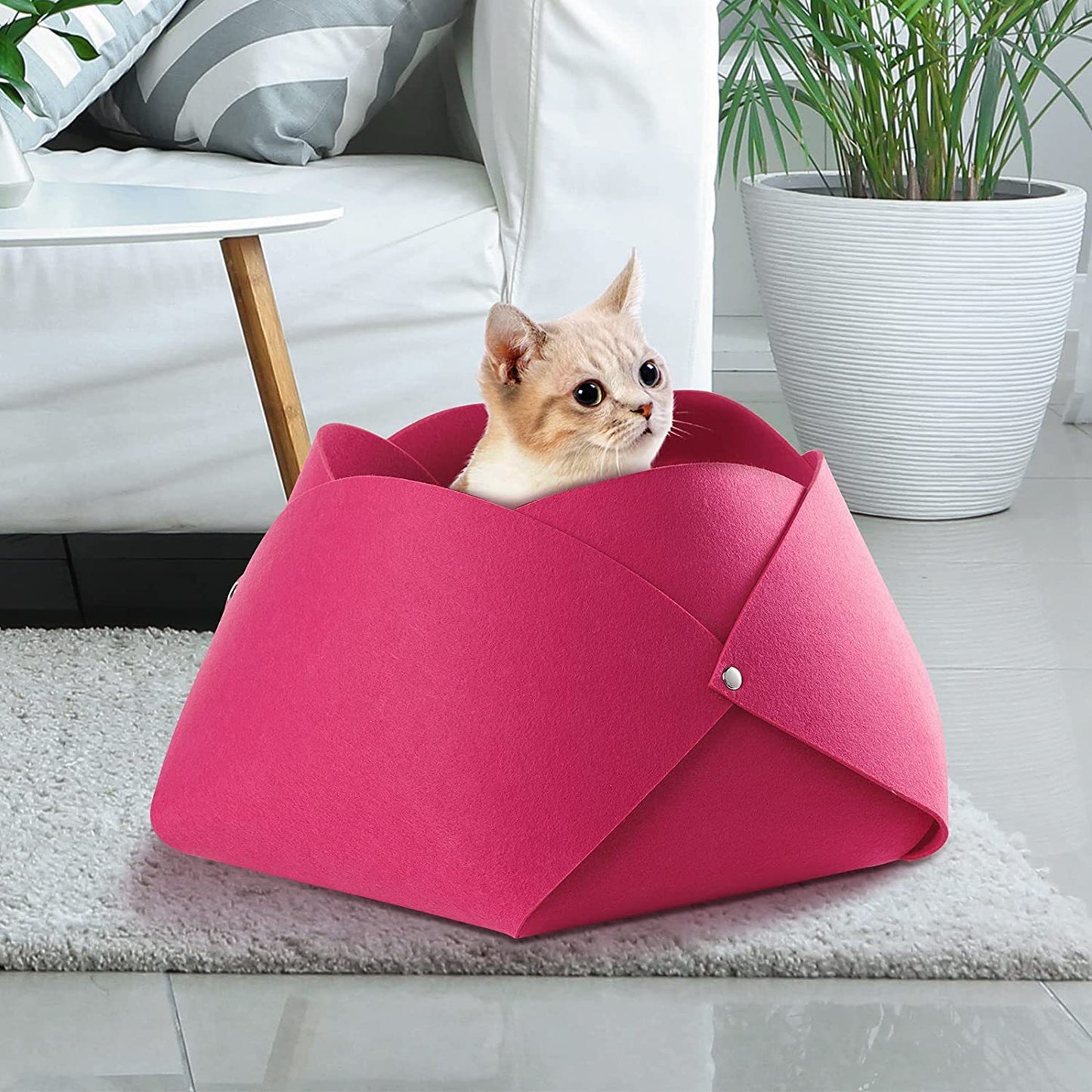 Pet Petal Nest