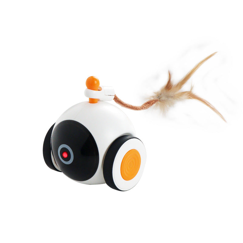 Cat Toy