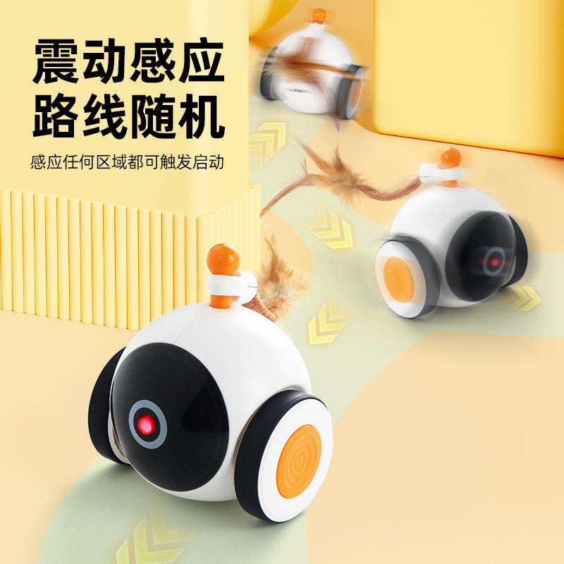 Cat Toy