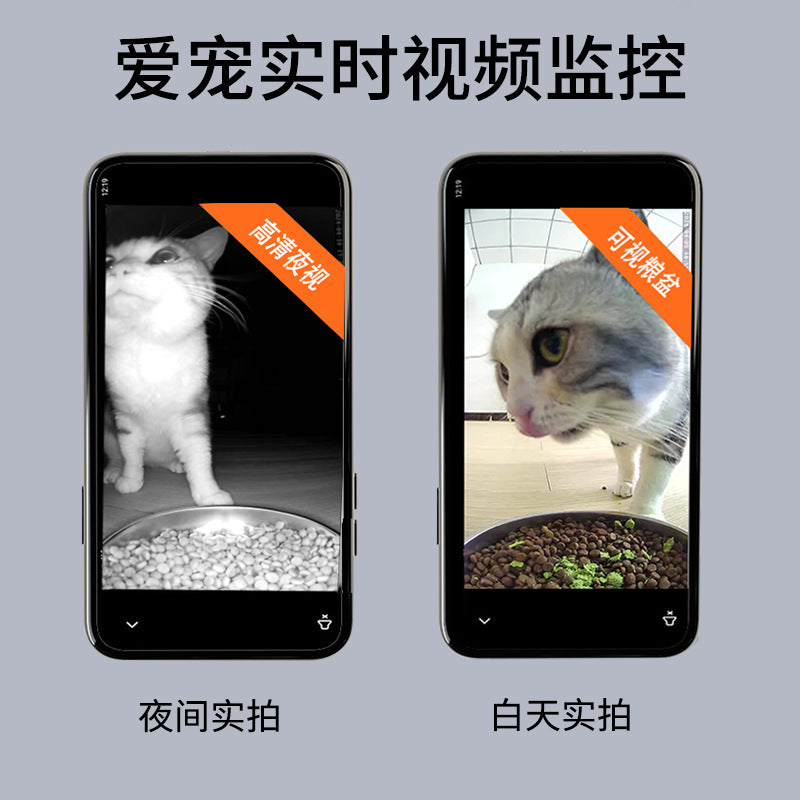 Automatic cat feeder