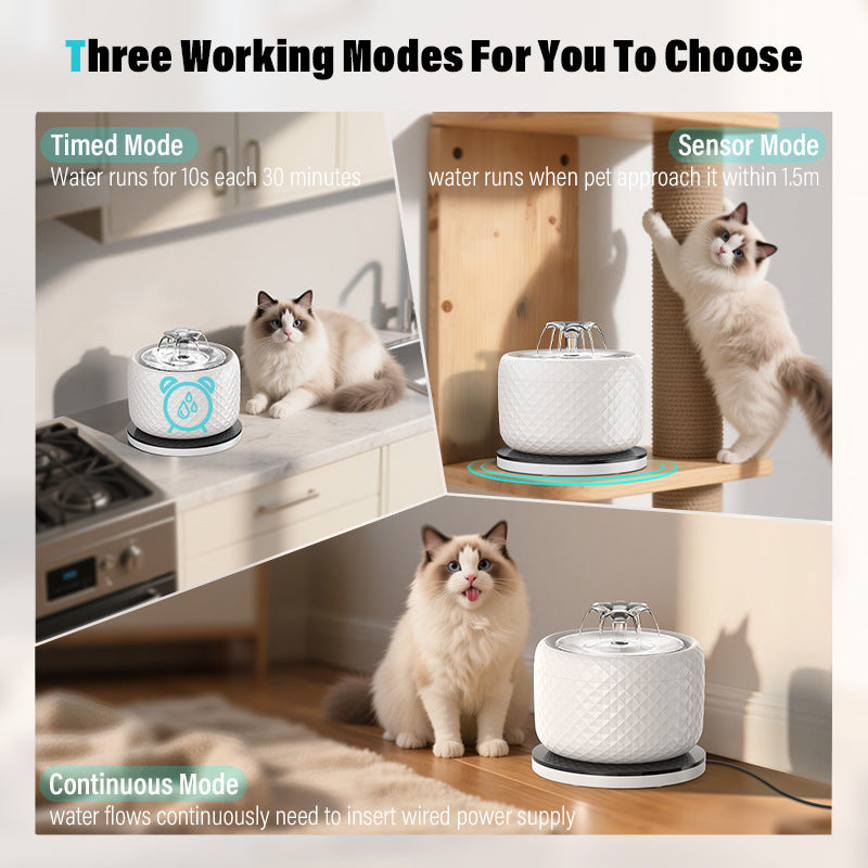 Pet water dispenser stainless steel