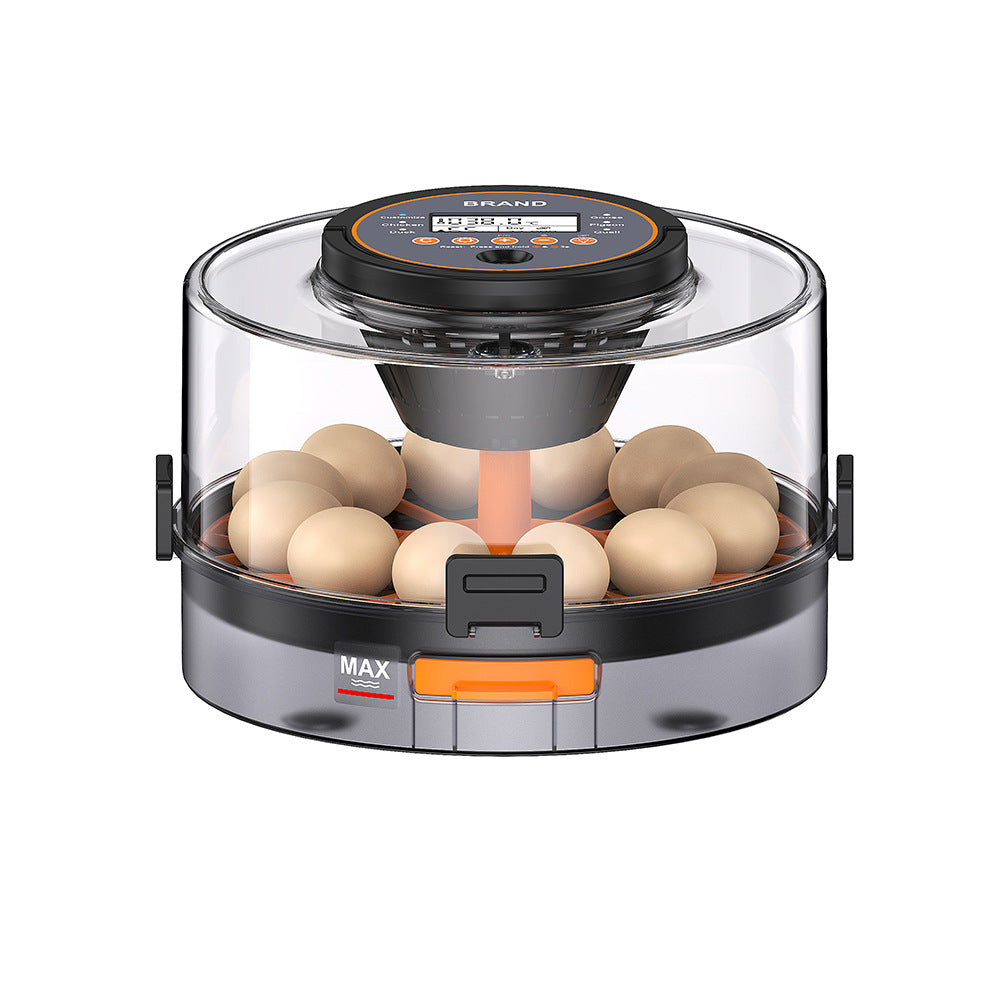 small household eggincubator