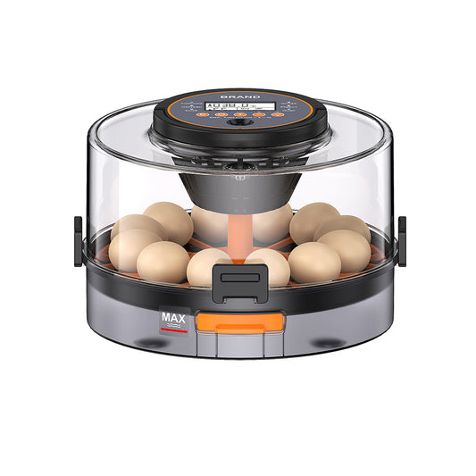 small household eggincubator