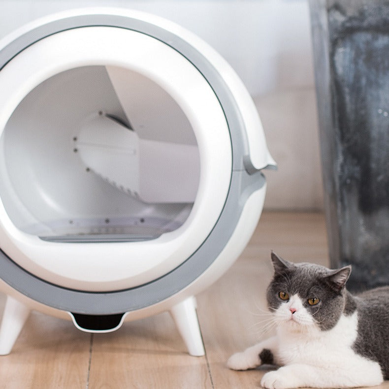 Intelligent Cat litter Box
