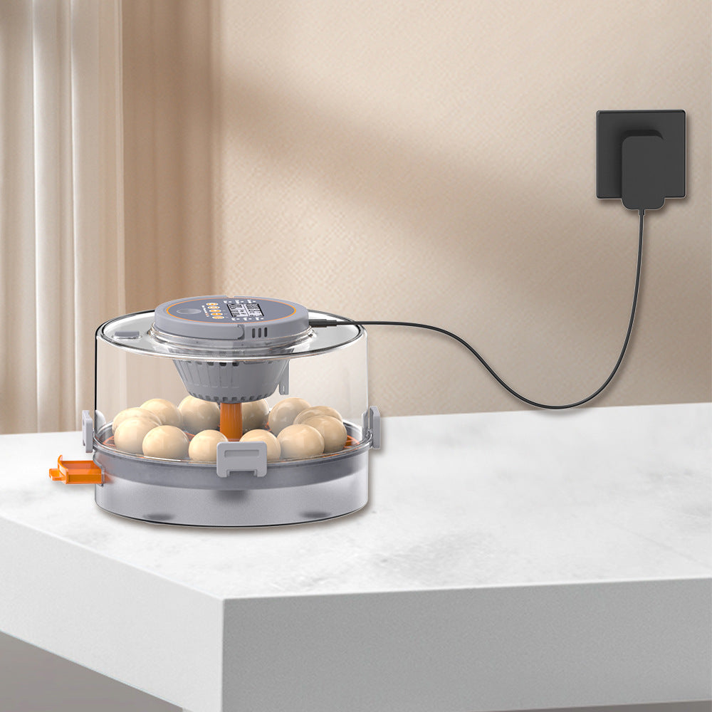 small household eggincubator
