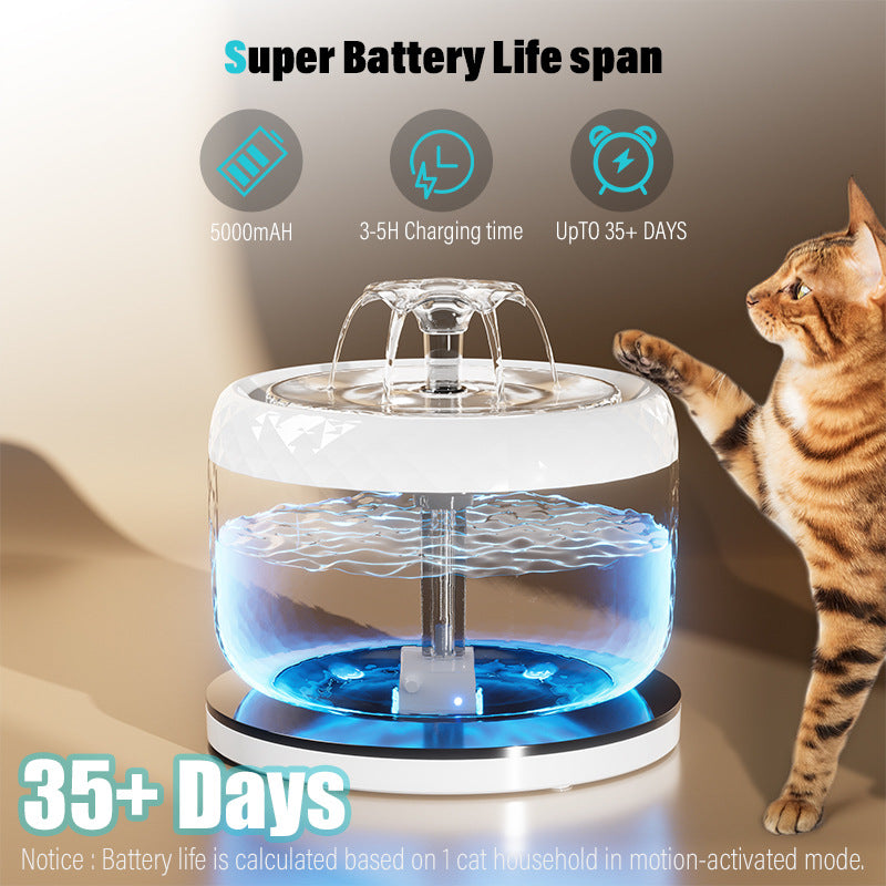 Pet water dispenser stainless steel