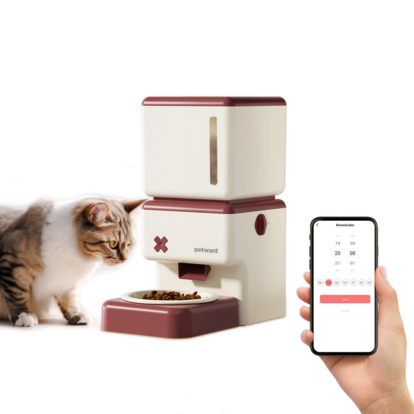 Intelligent automatic feeder
