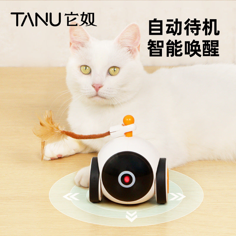 Cat Toy