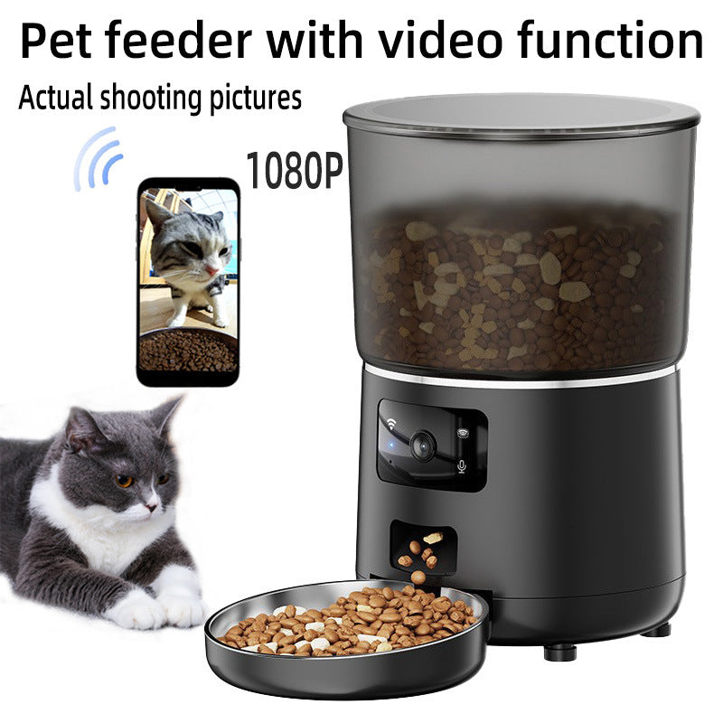 Automatic cat feeder