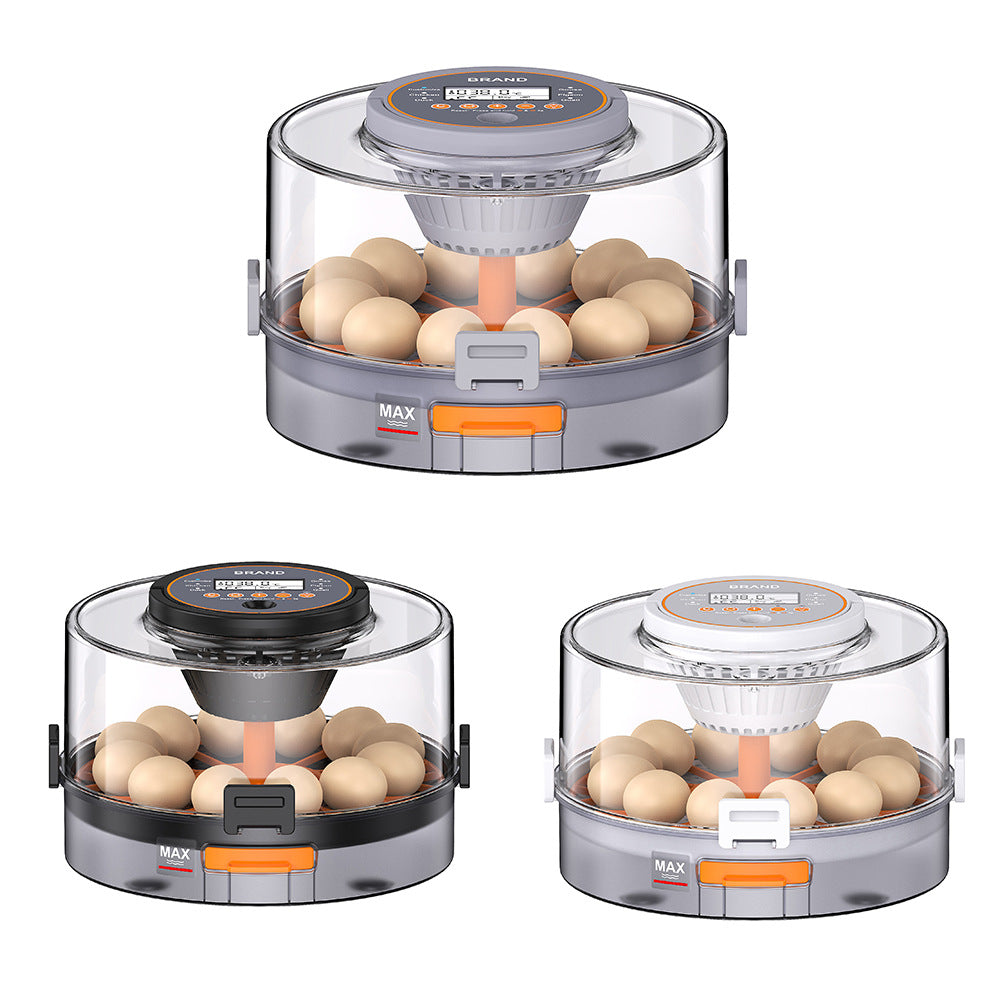 small household eggincubator